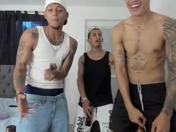 DOMINANT ALPHA KINGS live webcam