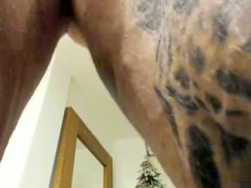 Alpha Male live webcam