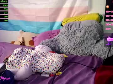 Watch live webcam live webcam