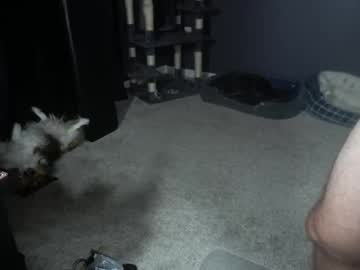 Sydaffect live webcam